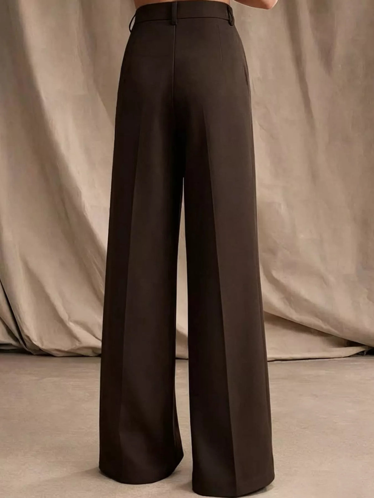 Dark brown high-waisted pleated wide-leg pants, rear view with button waistband