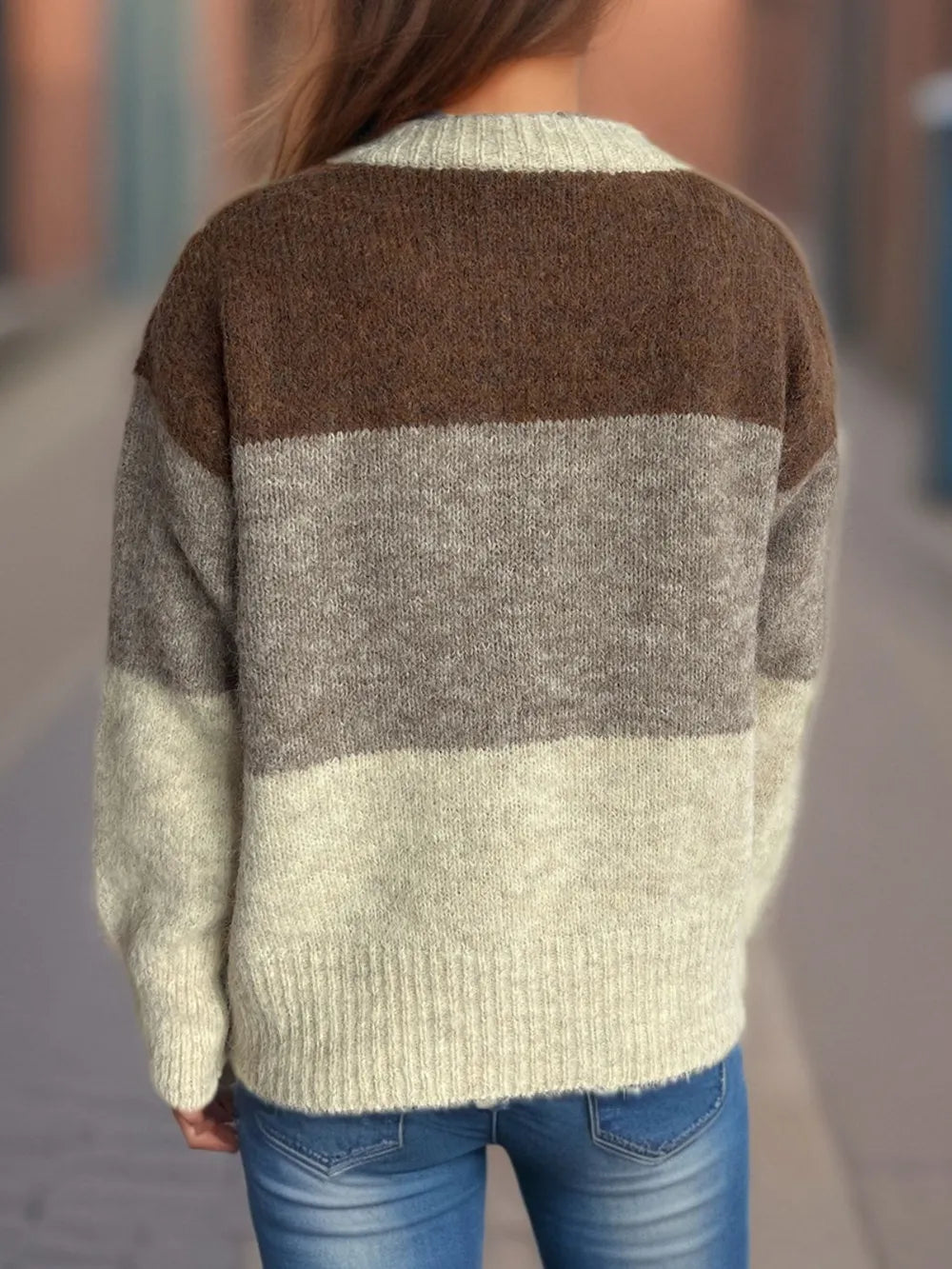 Color block round neck button-up cardigan, back view with brown, gray, and cream stripes