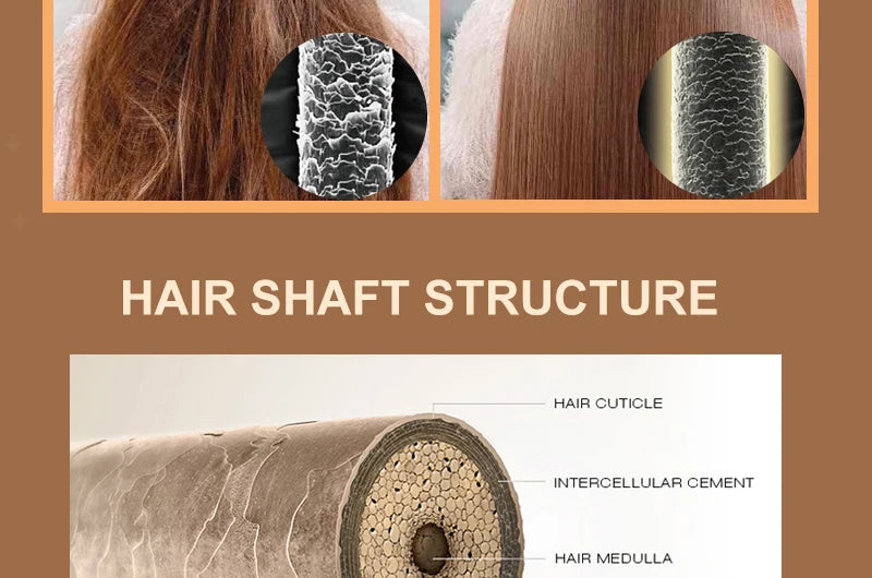 Hair shaft structure diagram with cuticle and medulla labels and hair photo panels.
