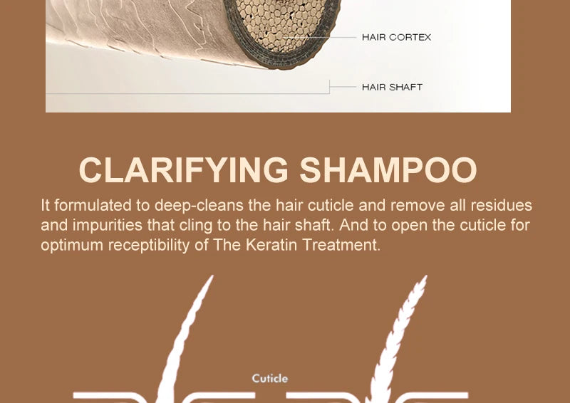 Clarifying shampoo infographic with keratin treatment hair diagram