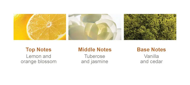 Fragrance notes card: lemon, orange blossom, tuberose, vanilla, jasmine, cedar