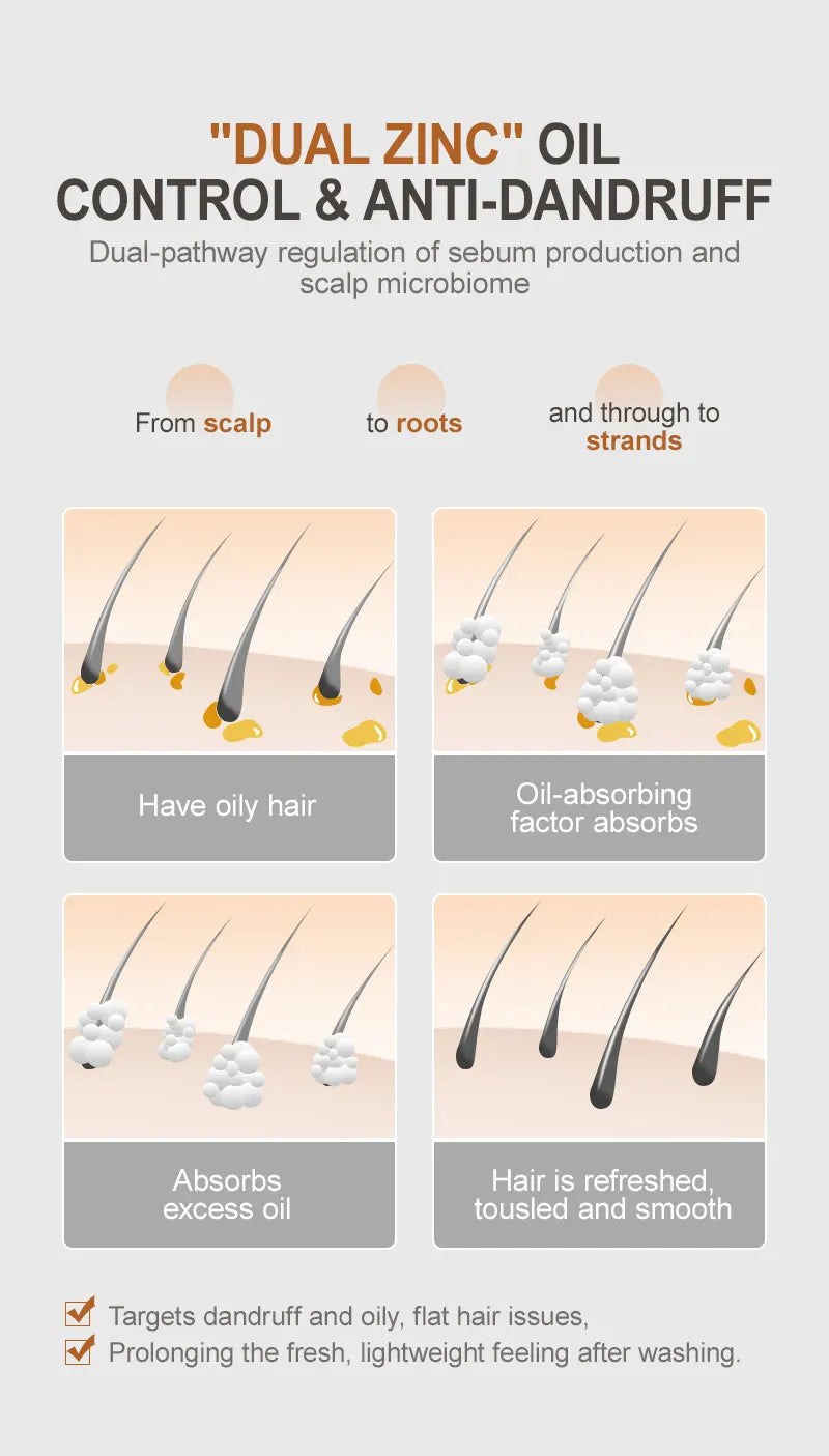 Shampoo and conditioner set infographic: dual zinc oil control, anti-dandruff, refreshed hair