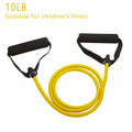 Resistance Bands with Handles 10lb - 30lb Strength Training Equipment for Home Workouts