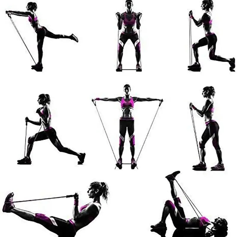 Resistance Bands with Handles 10lb - 30lb Strength Training Equipment for Home Workouts