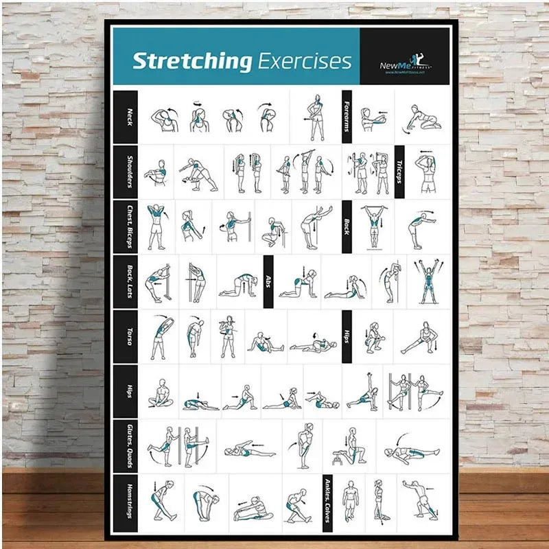 Frameless Dumbbell Workout & Exercise Chart