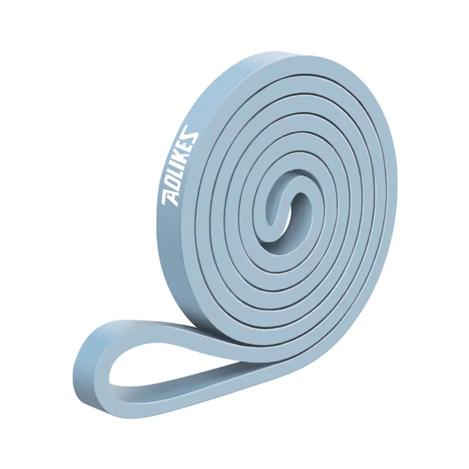 Heavy Duty Resistance Bands - Pull Up Assistance & Strength Training Bands (Blue)