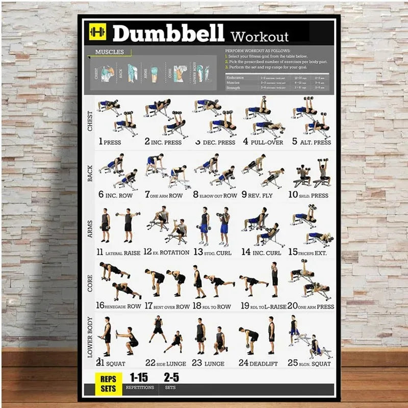 Frameless Dumbbell Workout & Exercise Chart