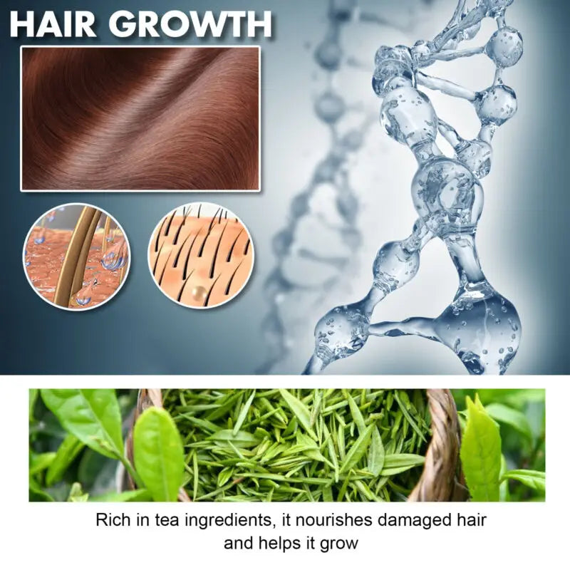 Hoegoa Shampoo & Conditioner Set - Strengthen Growth, Repair Damage & Reduce Hair Loss