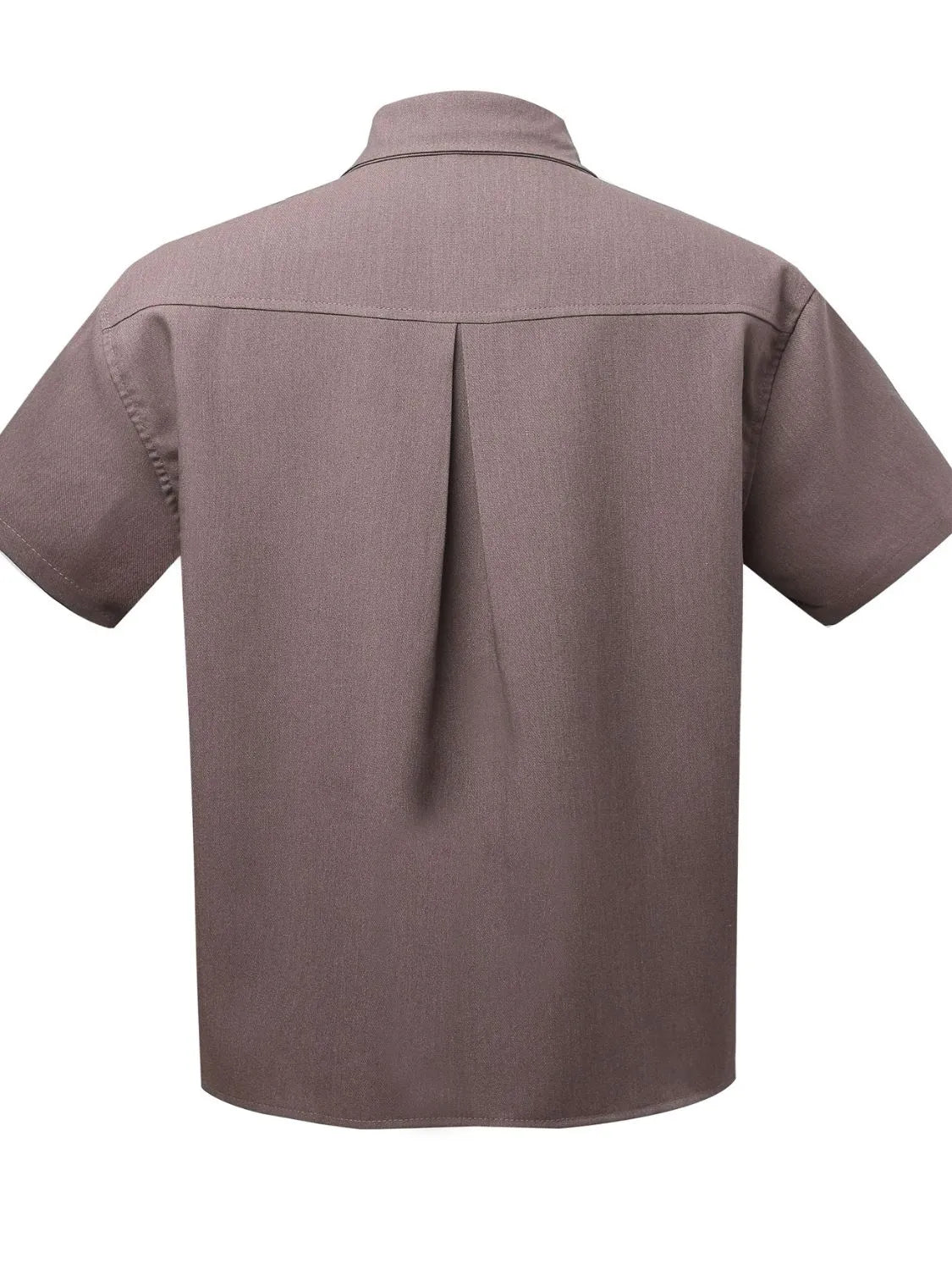 Men's short sleeve shirt, back view, brown button-up